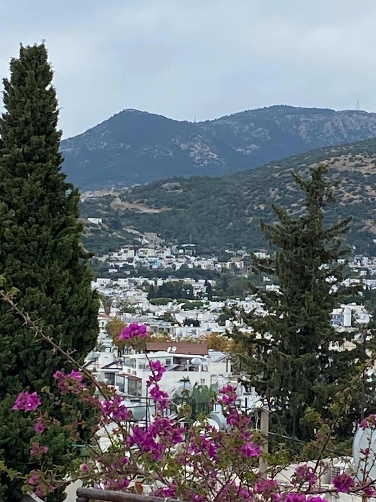 Izan Villa Bakis Apartments Bodrum Exterior foto